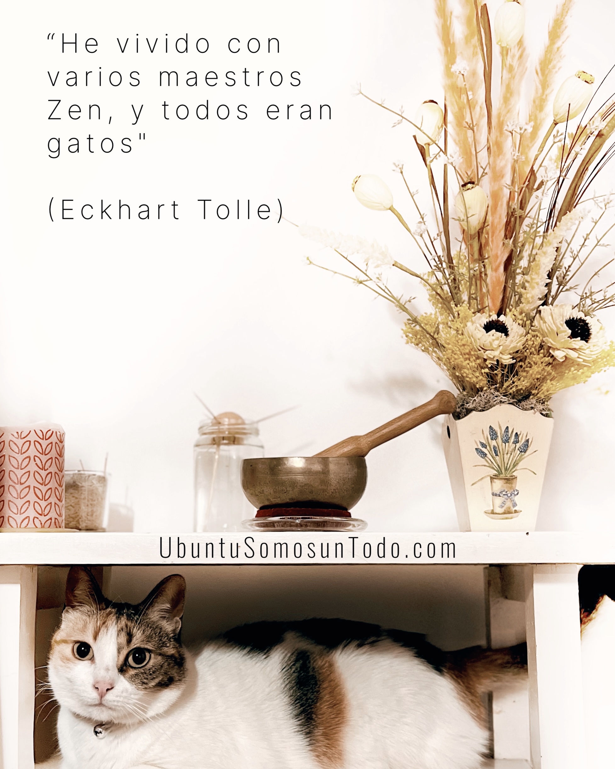 Edited with Lens Distortions v6.1.1